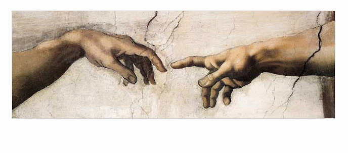 Roofer Roofing Contractor