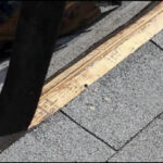 roofing contractor