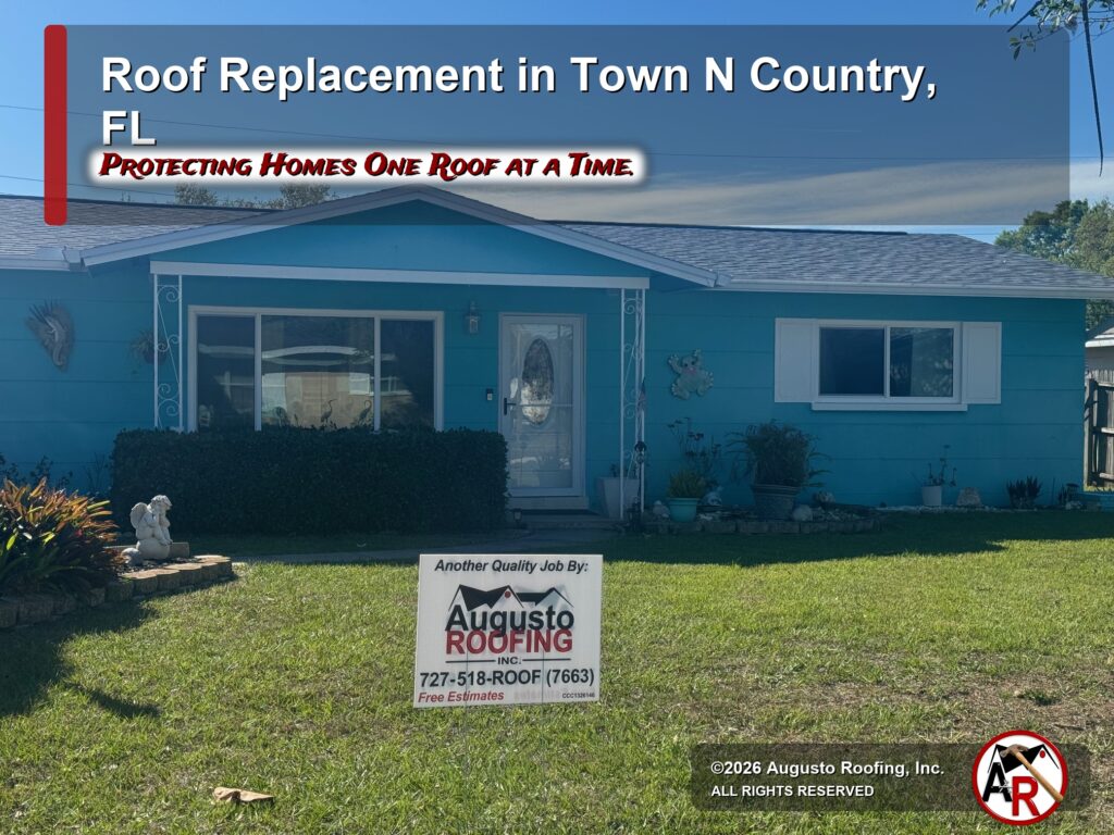 Roofing System Reinforcement
